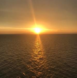 Meet your Posher, Jaynine